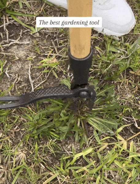 ezgif-2-2781cb3fc9_HxRJ.gif