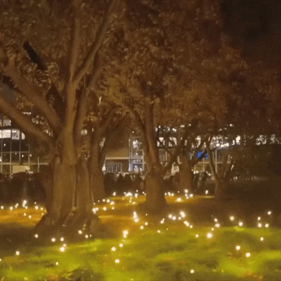 Solcelledrevet Firefly Light
