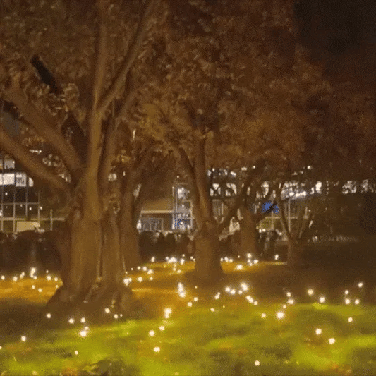 Solcelledrevet Firefly Light